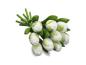 Preview: Tulip bouquet made of wood - 9 hand-painted wooden tulips, 20 cm tall, white/green, wooden flower decoration, made in Holland