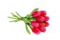 Preview: Tulip bouquet made of wood - 9 hand-painted wooden tulips, 34 cm tall, pink/red, wooden flower decoration, made in Holland