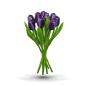 Preview: Tulip bouquet made of wood - 9 hand-painted wooden tulips, 34 cm tall, aubergine/white, wooden flower decoration, made in Holland