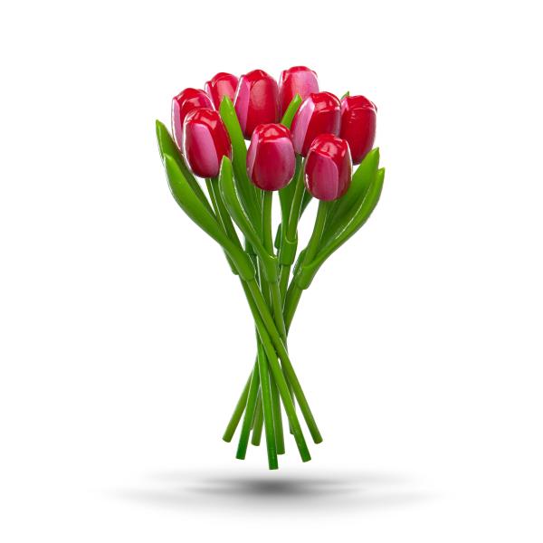 Tulip bouquet made of wood - 9 hand-painted wooden tulips, 34 cm tall, red/white, wooden flower decoration, made in Holland